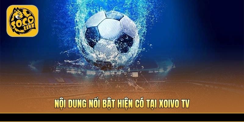Nhiều chuyên mục bóng đá hấp dẫn dành cho người hâm mộ 