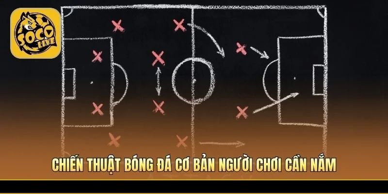 Kiến thức nền tảng giúp hiểu cách vận hành đội bóng