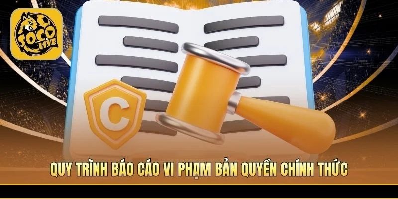 Cơ chế tiếp nhận khiếu nại bản quyền