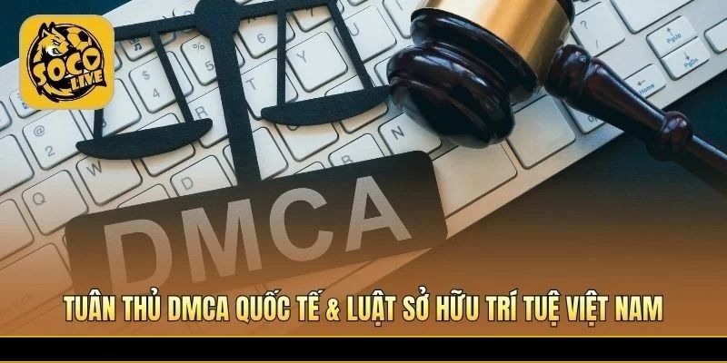 Khung pháp lý bảo vệ bản quyền theo chuẩn DMCA