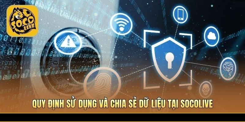 Quy trình quản lý thông tin minh bạch và đúng chuẩn