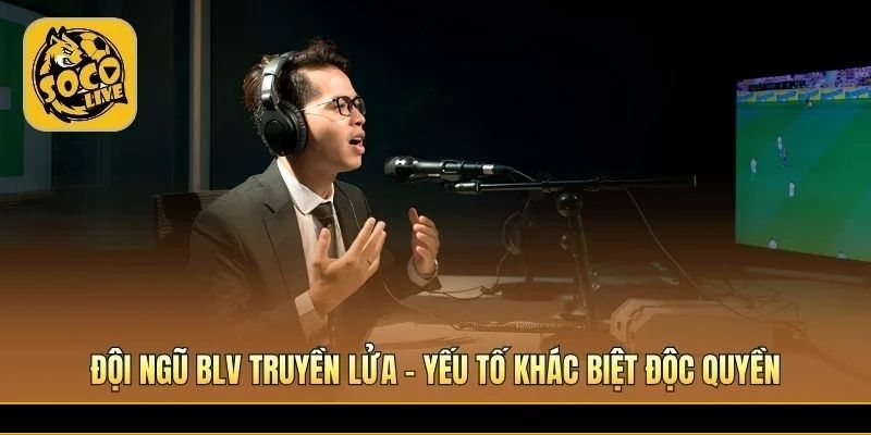 Phân tích chuyên môn kết hợp cảm xúc tạo trải nghiệm độc đáo