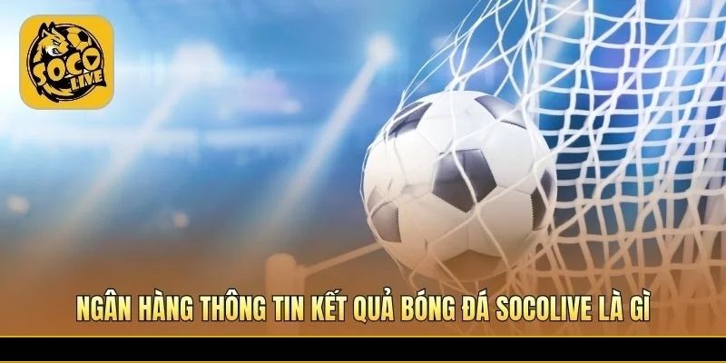 Kho lưu trữ tỷ số có cấu trúc giúp tra cứu KQBĐ nhanh chóng