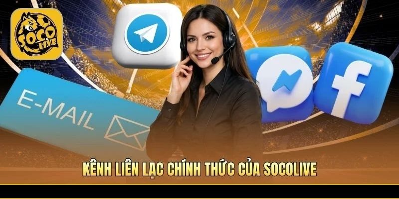 Ba kênh liên hệ chính thức phản hồi theo mức độ khẩn cấp