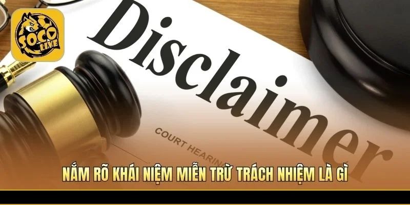Phân định ranh giới pháp lý giữa nền tảng và người dùng