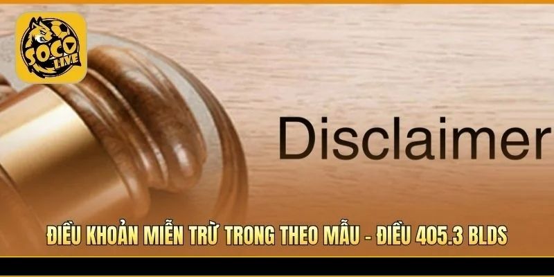 Tính minh bạch trong điều khoản miễn trừ trách nhiệm