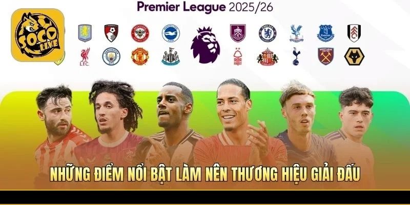 Thương hiệu hàng đầu với sức hút toàn cầu