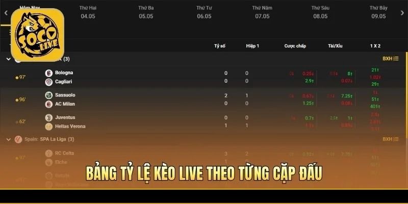 Bảng kèo live gọn rõ theo nhịp từng trận